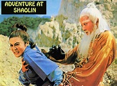 Wu Tang Collection: Adventure at Shaolin (English Dubbed) | Wu tang ...