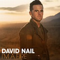 David Nail Talks About His New Album “I’m a Fire” – Hometown Country Music
