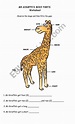 Animal body parts - ESL worksheet by johnsdesk