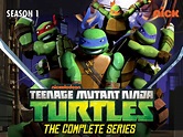 Prime Video: Teenage Mutant Ninja Turtles Season 1