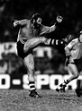 State of Origin: We go live with legend Noel Cleal to discuss game 2 ...