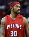 Rasheed Wallace picture
