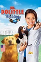Dr. Dolittle 4: DVD oder Blu-ray leihen - VIDEOBUSTER.de