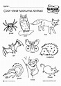 Dibujos de animales nocturnos para colorear - Imagui