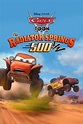 The Radiator Springs 500½ (2014) - Posters — The Movie Database (TMDB)
