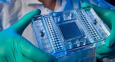 What is lab-on-a-chip technology? - Bioanalysis Zone