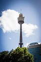 Sydney Tower's Scary "Skywalk" + Amazing Views - Have Clothes, Will ...