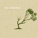 Ani DiFranco Released "Reprieve" 20 Years Ago Today - Magnet Magazine