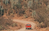Mexico Road Trip: All You Need To Know About Driving in Mexico