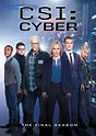 CSI: Cyber: The Final Season [5 Discs] [DVD] - Best Buy