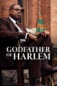 Godfather of Harlem (TV Series 2019- ) - Posters — The Movie Database ...