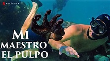 Mi Maestro El Pulpo / Un cineasta forja una amistad inusual con un ...