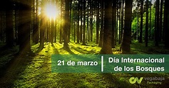 Celebramos el Día Internacional de los Bosques - Vegabaja Packaging