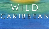 Wild Caribbean - Where to Watch and Stream Online – Entertainment.ie