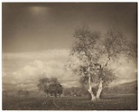 Five landscapes, 1909-1923, Karl Struss (1886-1981) | Christie’s