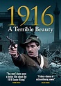A Terrible Beauty 1916 DVD | Zavvi.com
