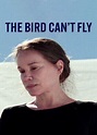 Film The Bird Can't Fly (2007) - Gdzie obejrzeć | Netflix | Disney+ ...