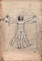 Leonardo da Vinci - Profile of the Italian "Renaissance Man"