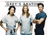 Grey's Anatomy - Grey's Anatomy Wallpaper (1965725) - Fanpop