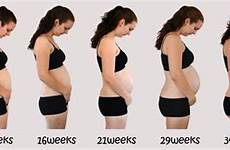 progression bump maternity