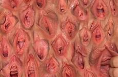 pussy vagina wall deer cunts wallpaper nude bunch mature favorite naked hot