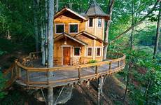 treehouses night treehouse dream travel