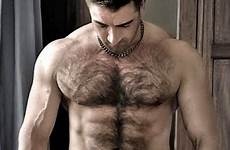hairy men offensively muscly gay straight