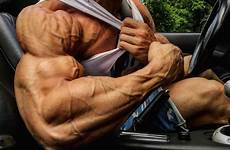 csaba szigeti kris evans arms biceps muscle