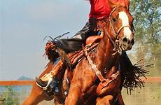 cowboy shooting mounted horse cowgirl girls riding rodeo kenda cowboys lenseigne girl action cow stress