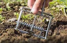 mole traps goonproducts