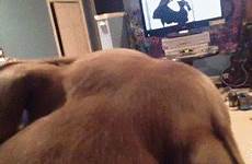 dog gif time funny humor first gifs her kept calling holding friend baby imgur hes ever guy style tumblr