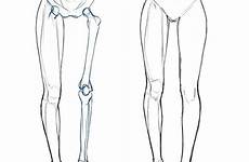 reference anatomie jambe references poses dessiner hiba bestpin niche