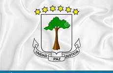 illustration arms coat equatorial guinea developing symbol flag country simple original