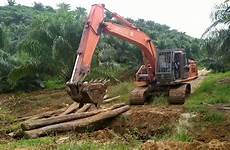 perkebunan sawit kelapa jembatan pembuatan