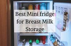 fridge breast milk mini storage reviews