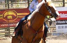 rodeo barrel etcheberry horses