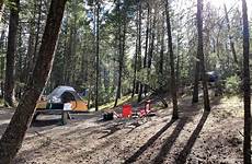 redstreak campsite campground kootenay squirrels scampering