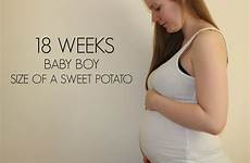 18 baby weeks pregnancy week size boy potato sweet