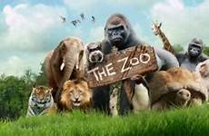 zoo cbbc bbc who