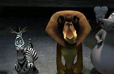 madagascar alex gloria marty wallpaper wanted most europe lion movie desktop click hippo zebra resolution high simplywallpaper