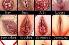 vagina anal xxx pussy chart perineum female name naked girls cum age closeup genital pubic anus hair close spread urethra