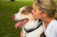 cuidados perros anjing seks caninos mascotas wanita allergies usai berhubungan utensilios mayores mengenaskan mati necesidades básicos maupun kejiwaan berbahaya baik