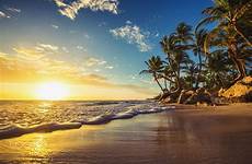 tropical palm beaches 500px