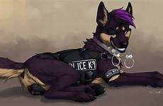 female german shepherd pussy anatomically correct feral canine ass anus animal xxx edit respond deletion flag options