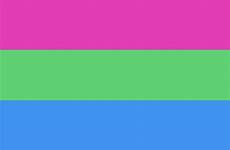 pride polysexual flag flags sexuality gender polyamorous genders