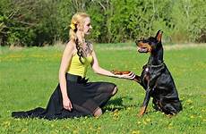 doberman woman pixabay