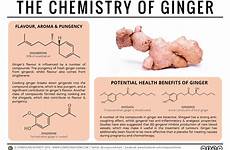 ginger chemistry compoundchem medicinal flavour organic compound pungency food potential infographic gengibre found flavor quimica fresh do benefits root kitchen