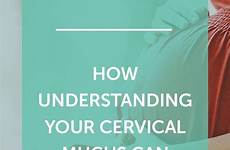 mucus cervical naturalfertilitybreakthrough