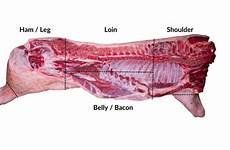 pork loin tenderloin whole primal primals explained relation