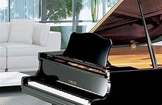 piano now store grand dream own time